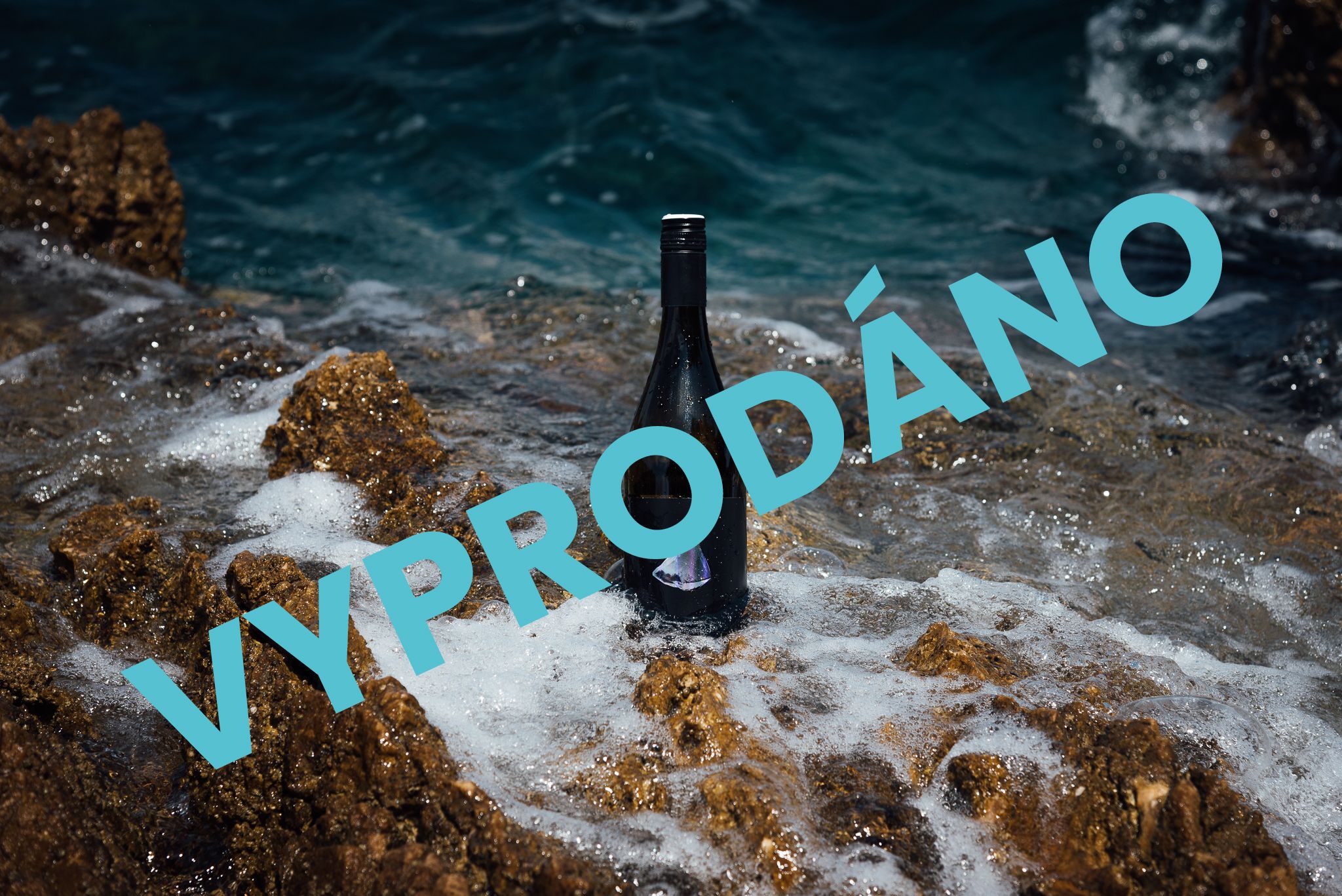 Cabernet Moravia 2021