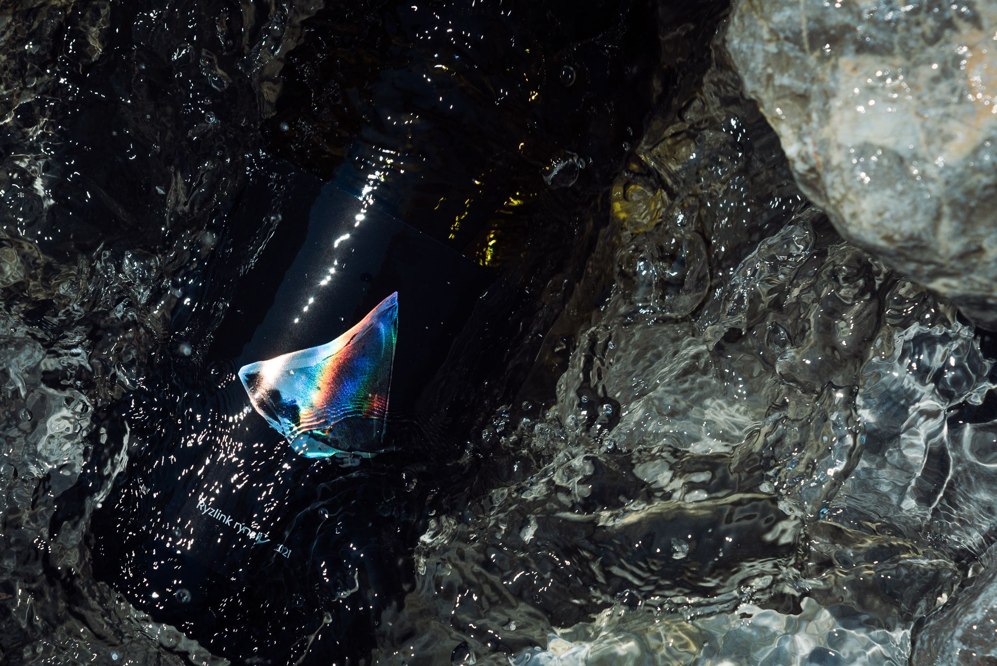 Ryzlink rýnský 2021