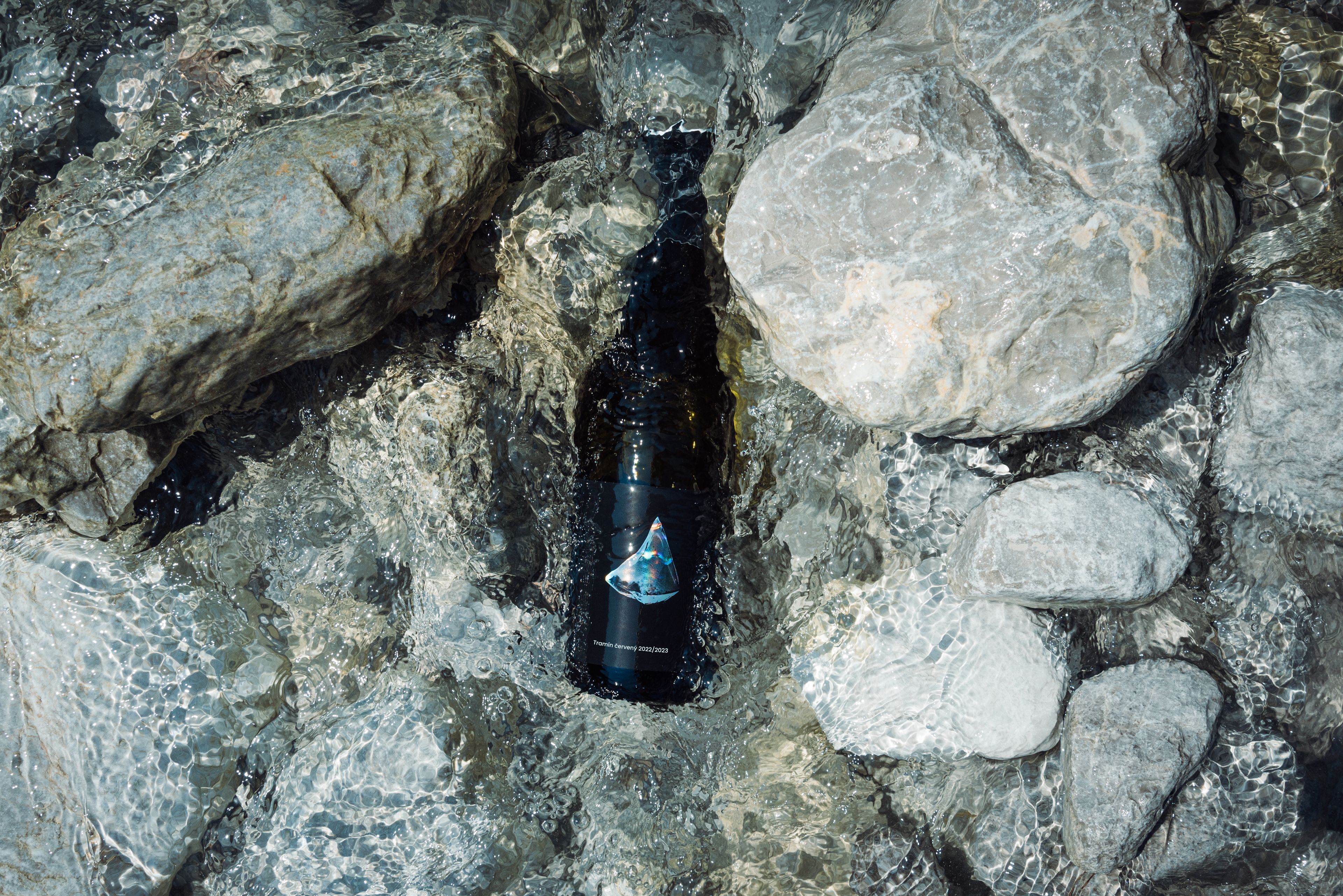 Tramín červený 2022/2023