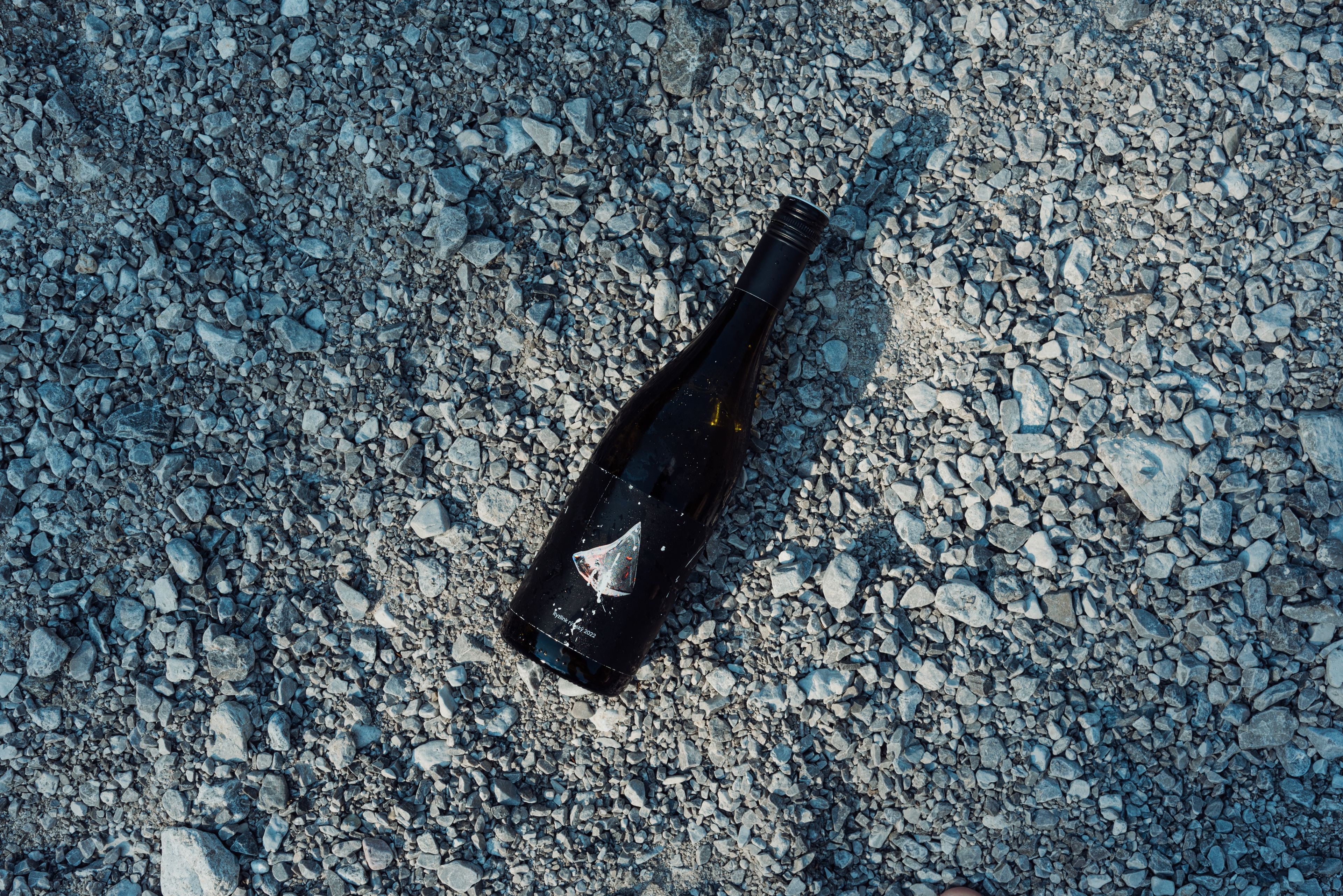 Ryzlink rýnský 2024