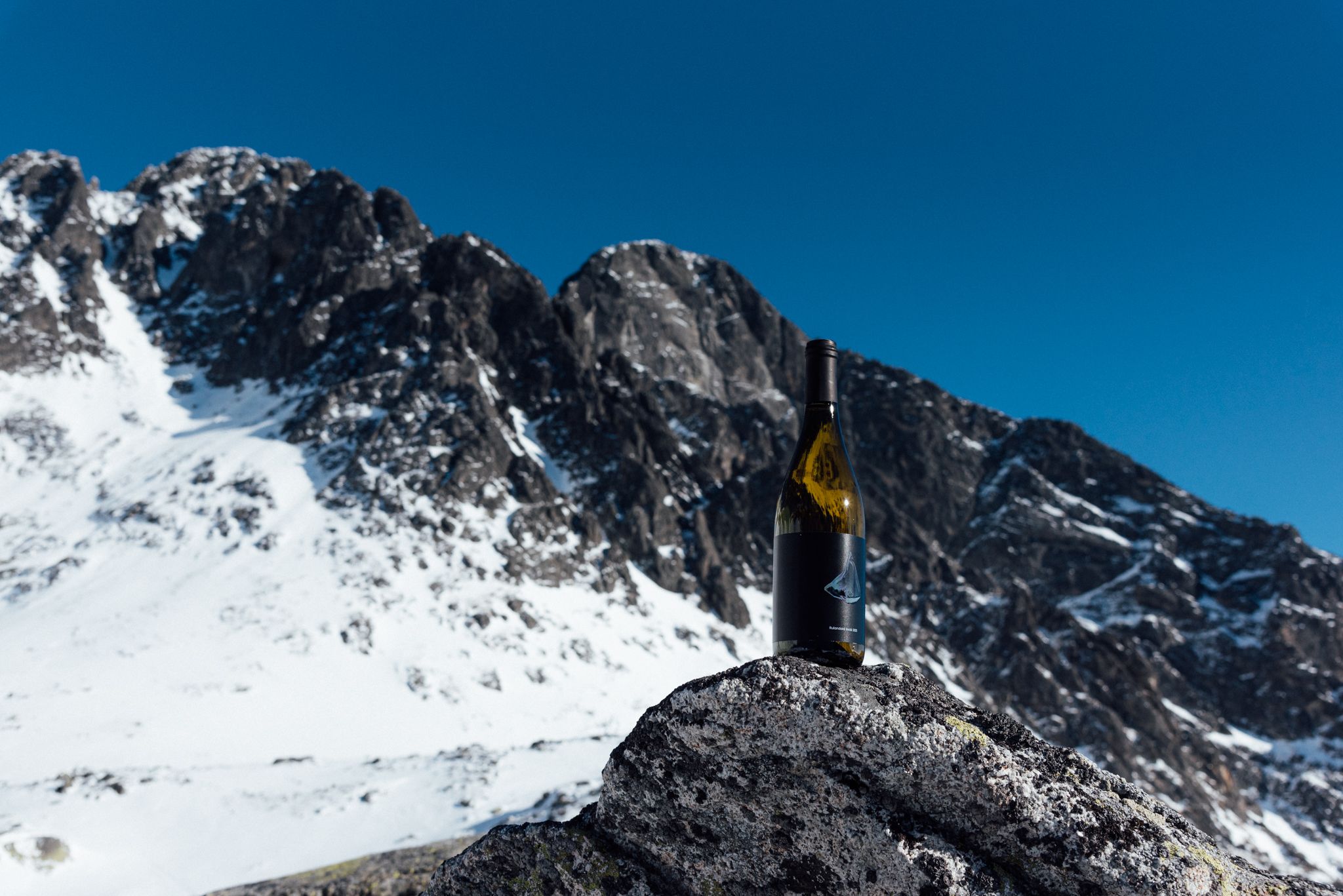 Rulandské šedé 2023