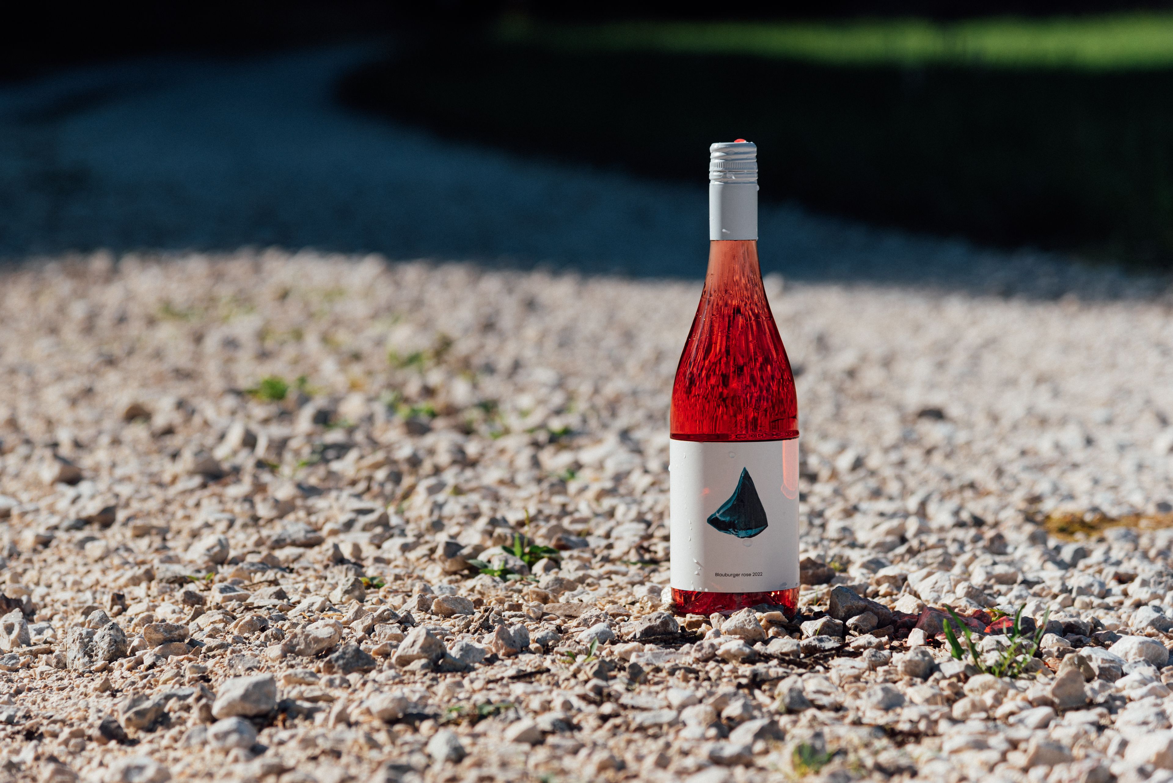 Svatovavřinecké rose 2023