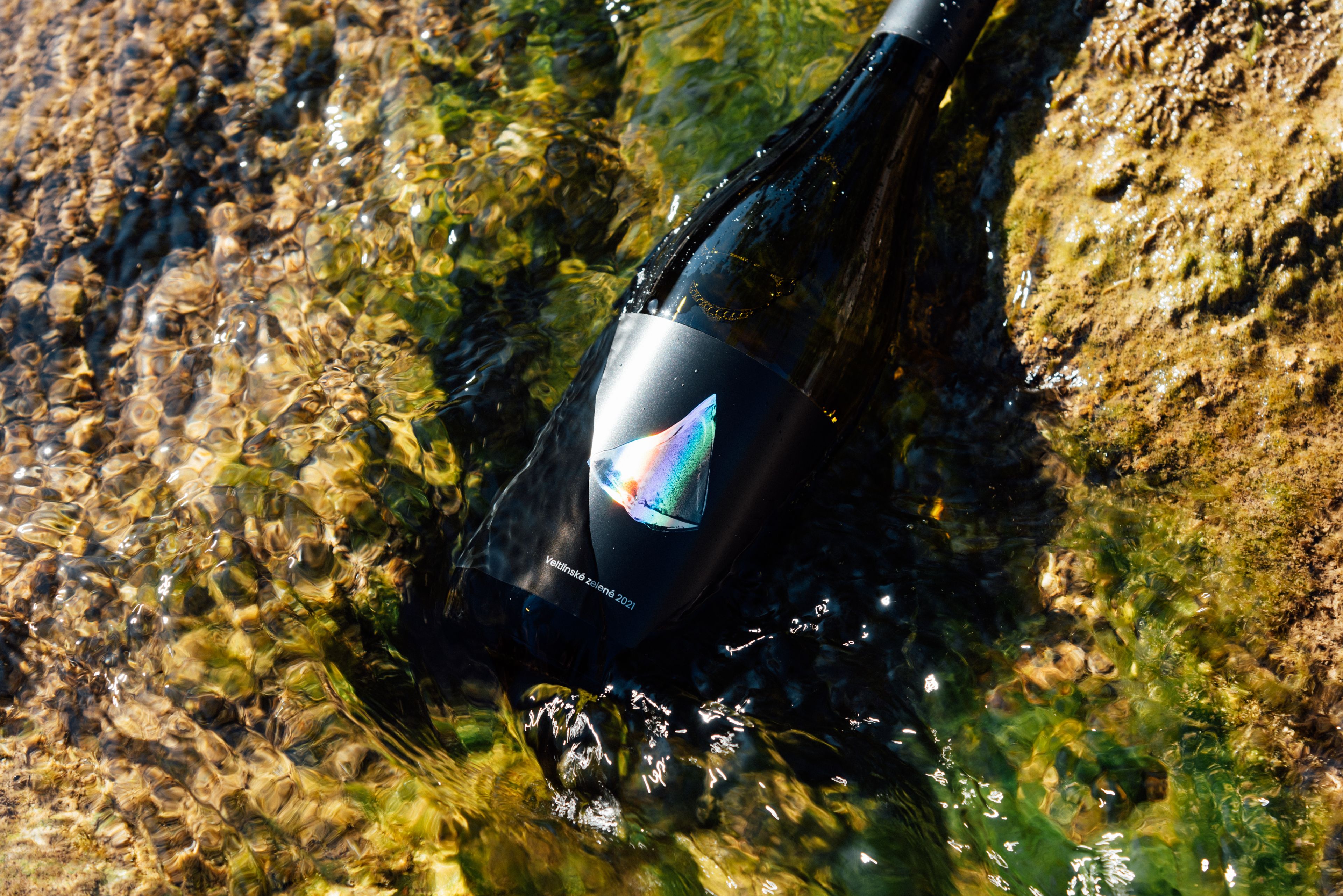 Veltlínské zelené 2021