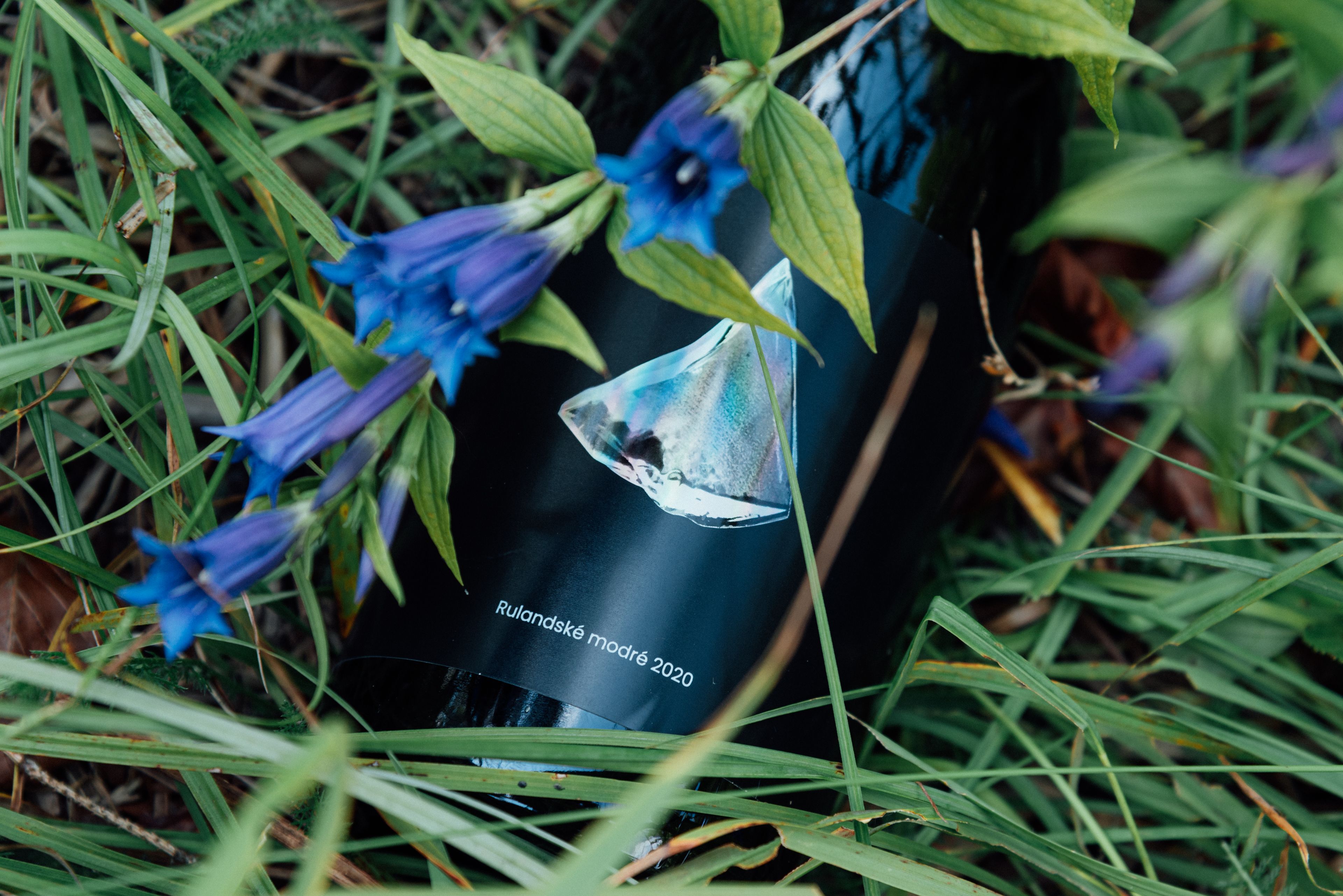 Rulandské modré 2020