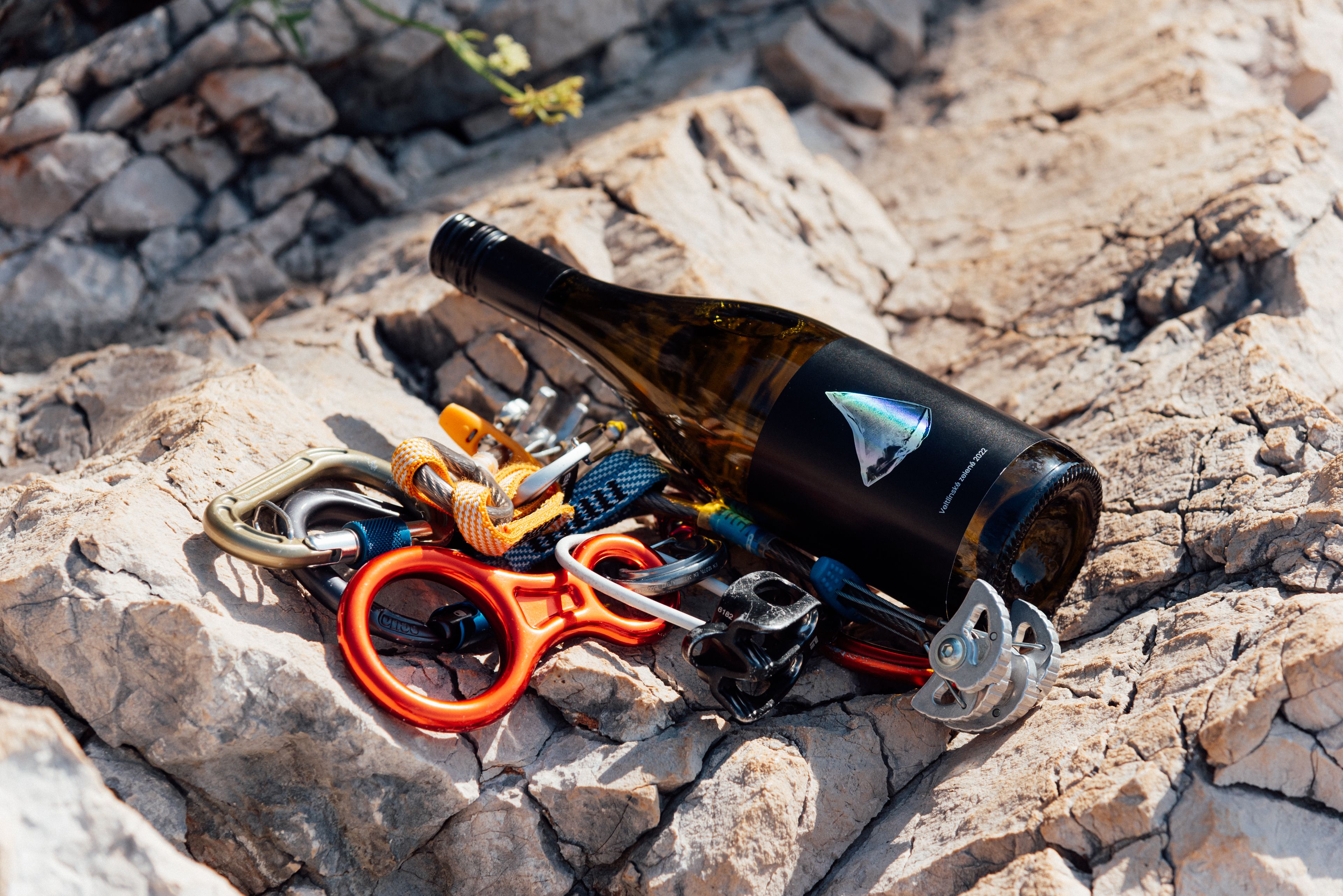 Veltlínské zelené 2022