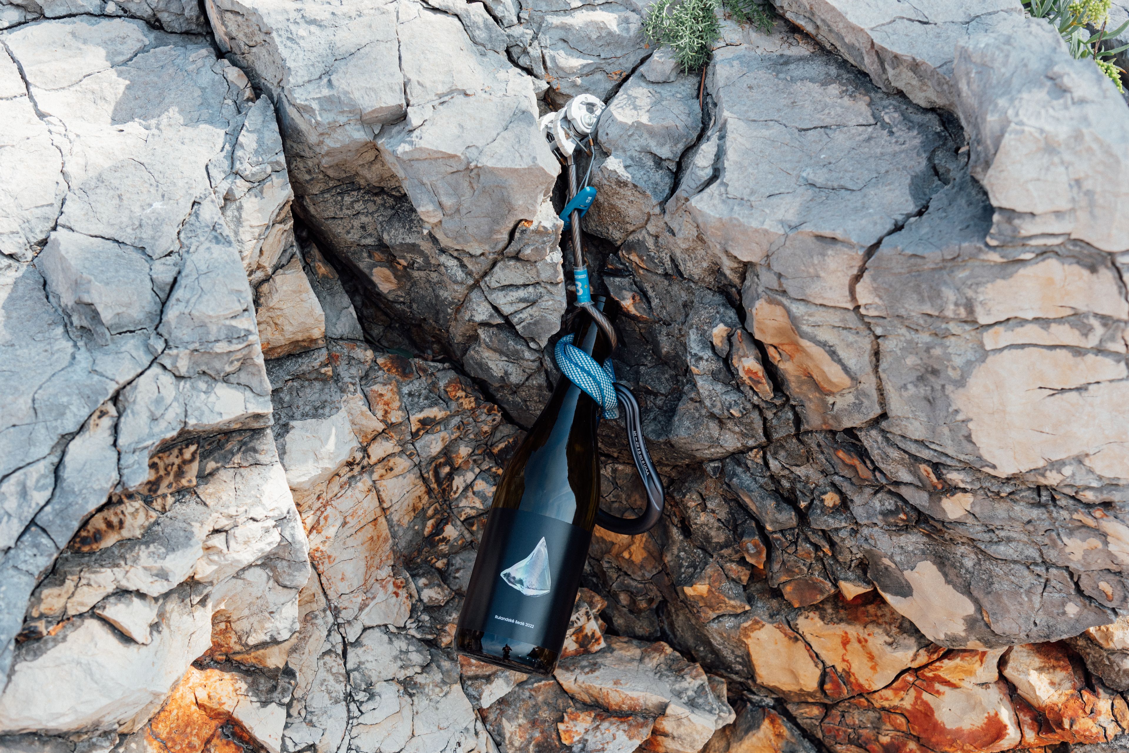 Rulandské šedé 2022