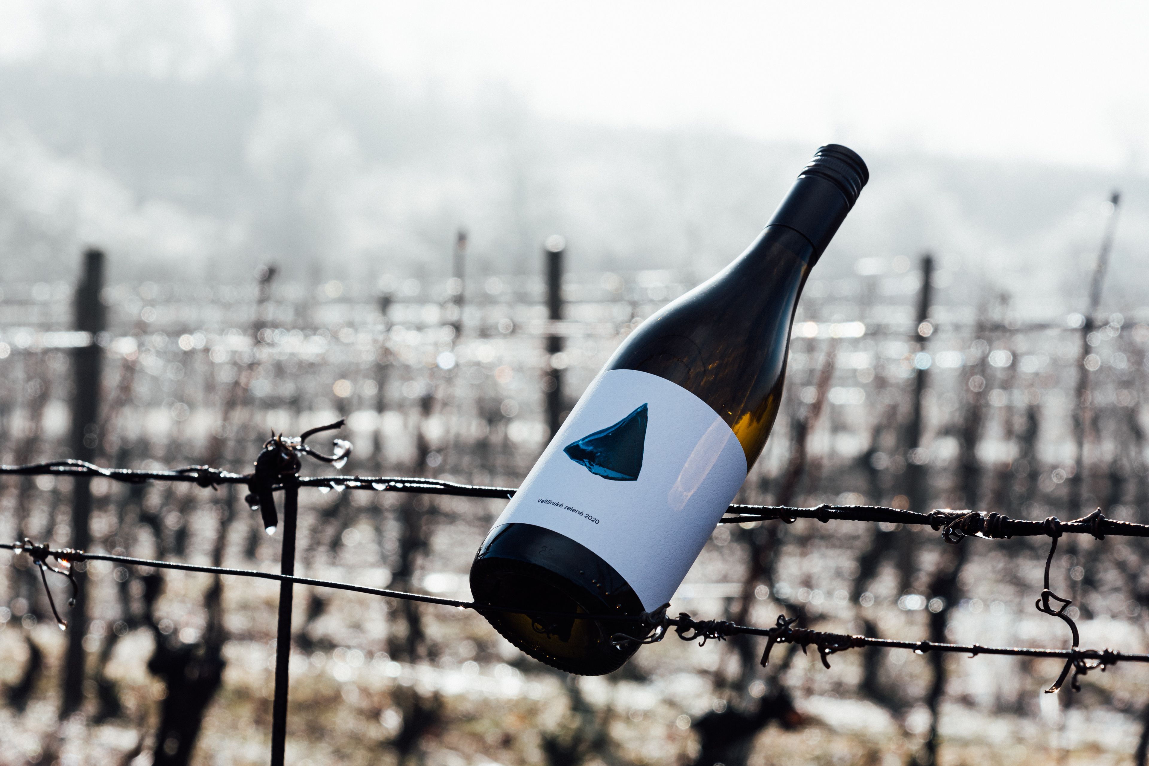 Veltlínské zelené 2020