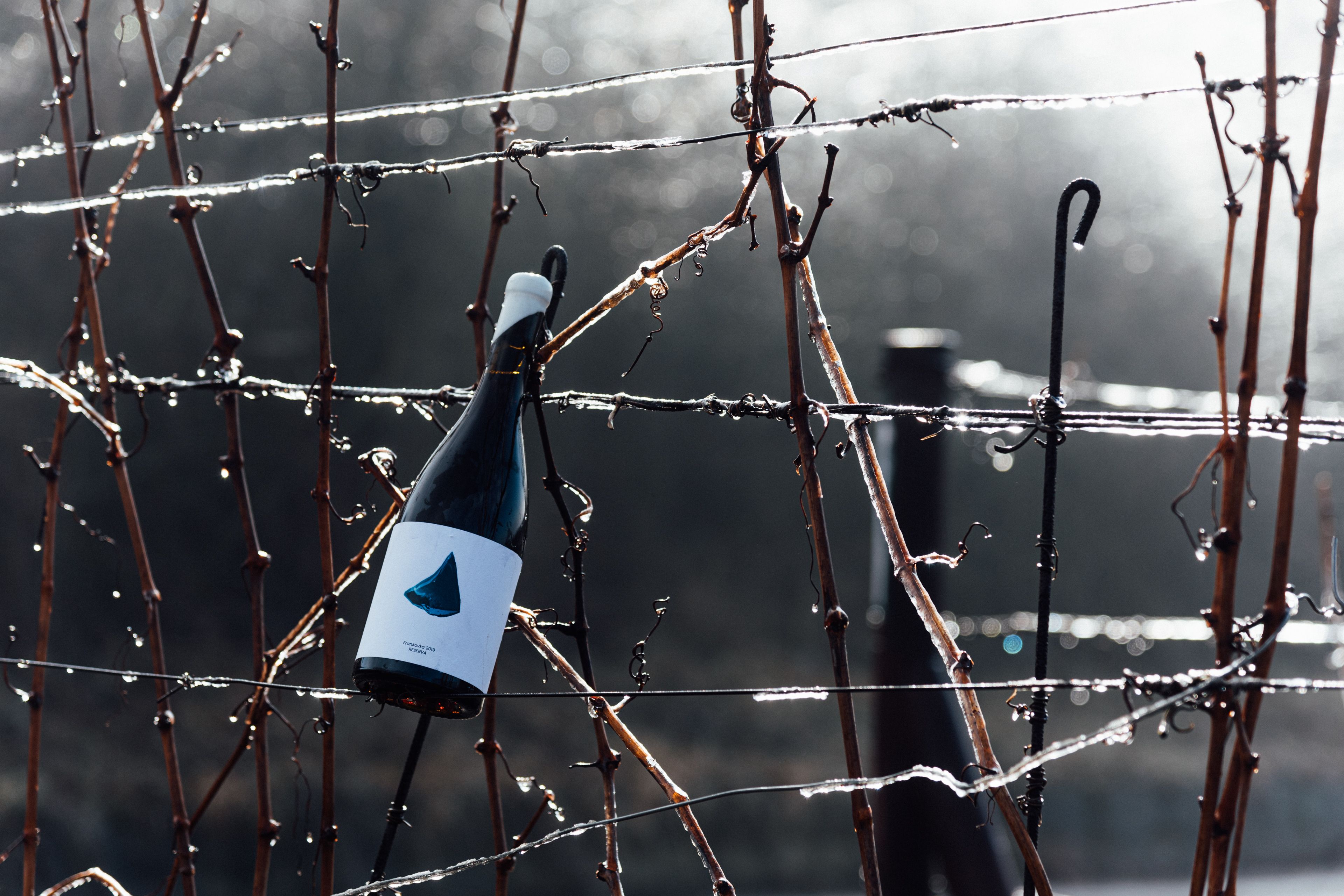 Frankovka 2019 RESERVA