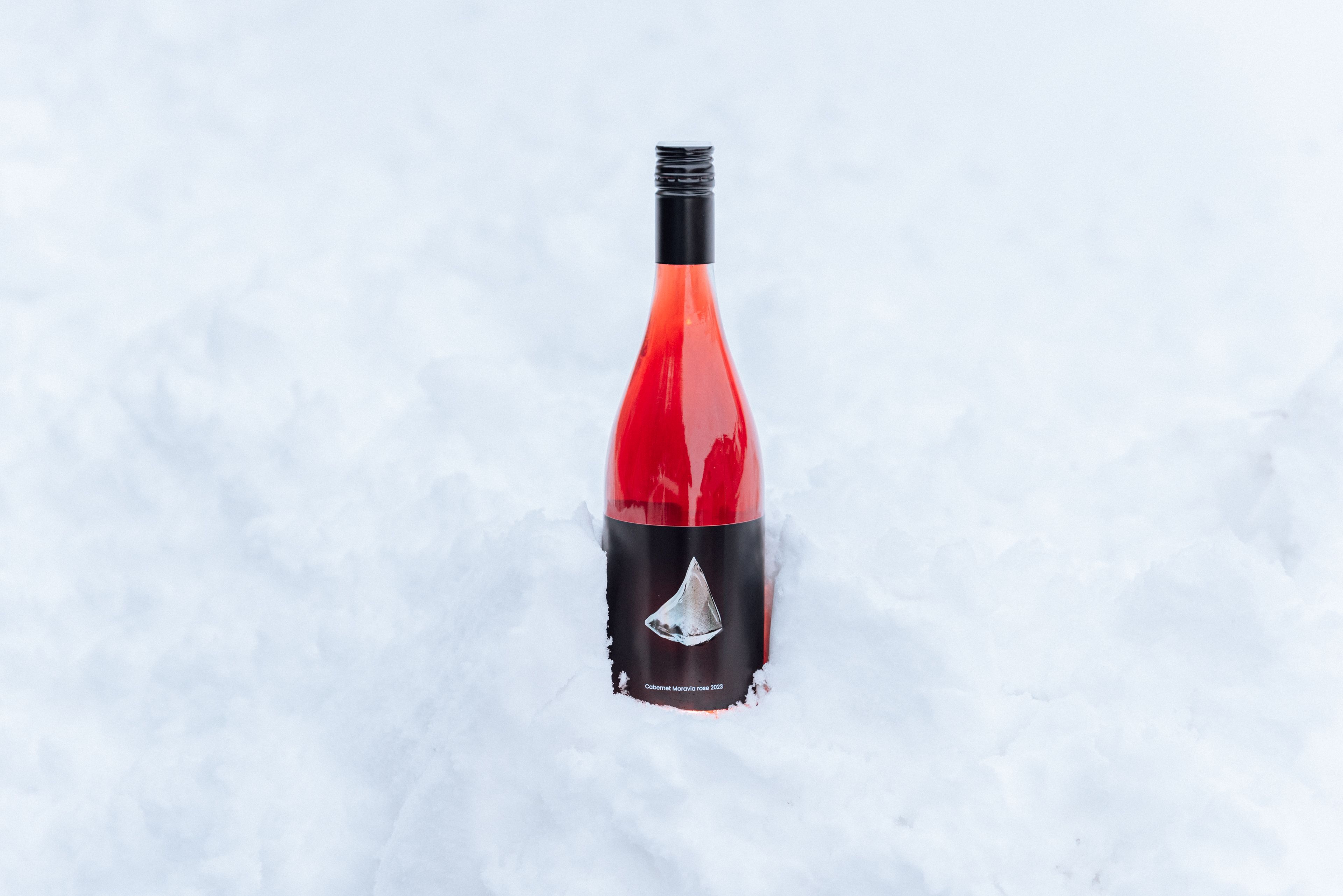 Cabernet Moravia rose 2023