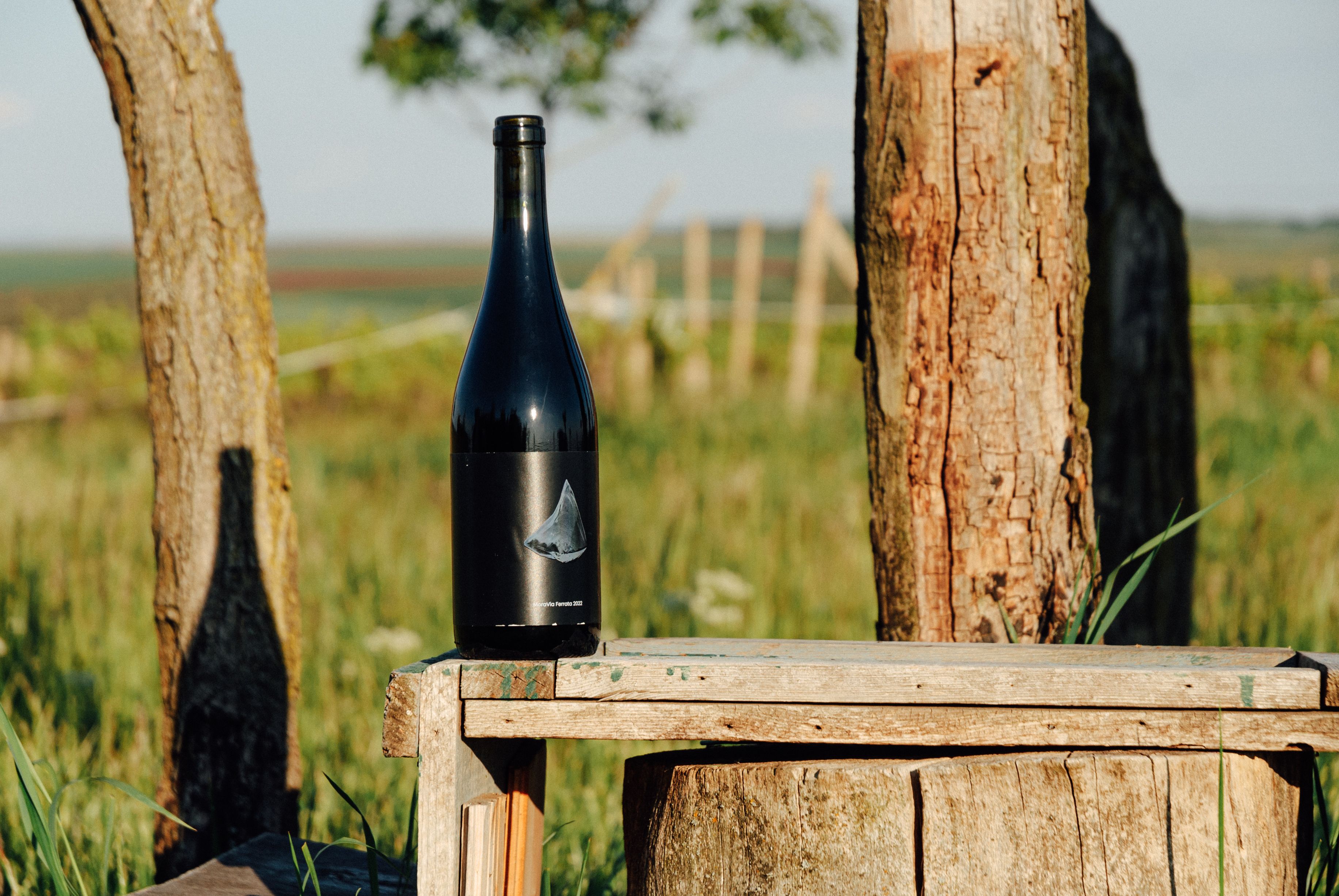 MoraVia Ferrata 2022