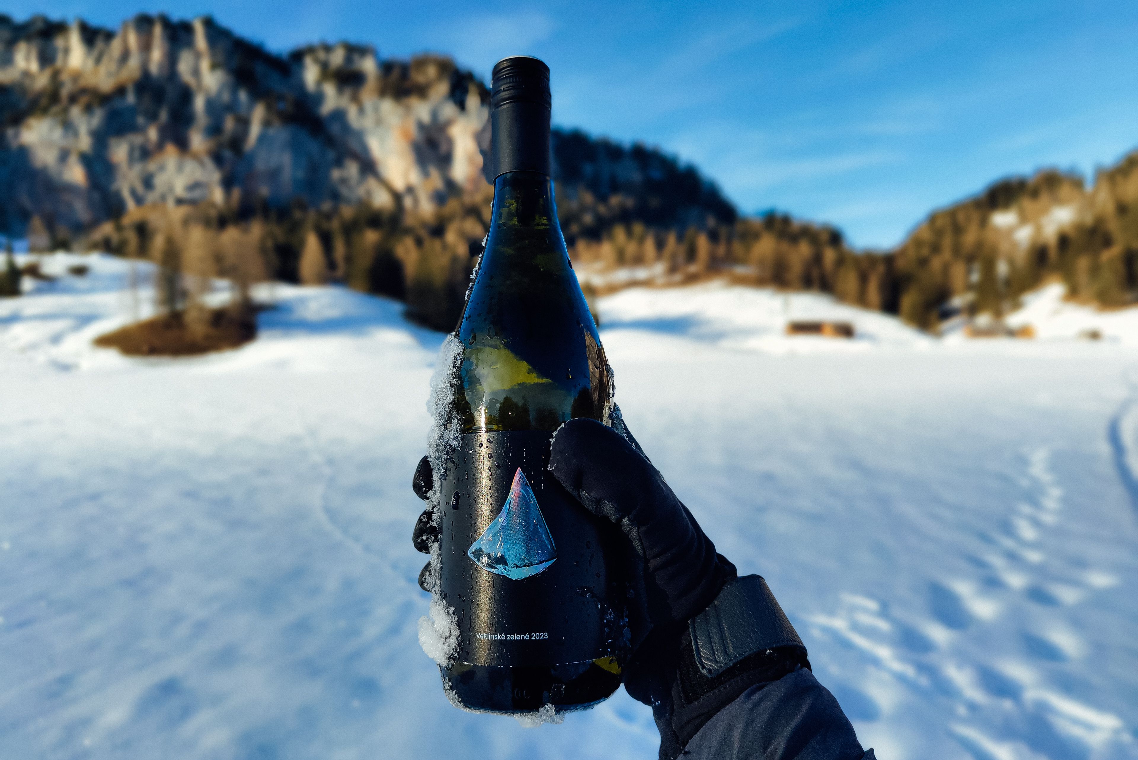 Veltlínské zelené 2023